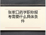 张家口药学职称报考需要什么具体条件