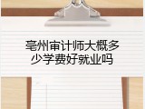 亳州审计师大概多少学费好就业吗
