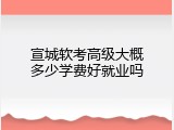 宣城软考高级大概多少学费好就业吗