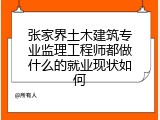张家界土木建筑专业监理工程师都做什么的就业现状如何