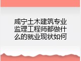 咸宁土木建筑专业监理工程师都做什么的就业现状如何