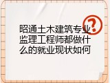 昭通土木建筑专业监理工程师都做什么的就业现状如何