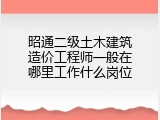 昭通二级土木建筑造价工程师一般在哪里工作什么岗位
