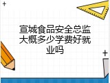 宣城食品安全总监大概多少学费好就业吗