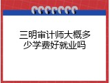 三明审计师大概多少学费好就业吗