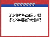 沧州软考高级大概多少学费好就业吗