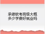 承德软考高级大概多少学费好就业吗