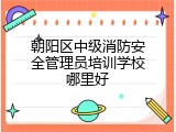 朝阳区中级消防安全管理员培训学校哪里好