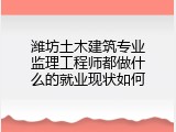 潍坊土木建筑专业监理工程师都做什么的就业现状如何