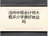 沧州中级会计师大概多少学费好就业吗