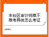 丰台区审计师难不难考具体怎么考证