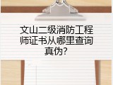 文山二级消防工程师证书从哪里查询真伪？