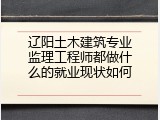 辽阳土木建筑专业监理工程师都做什么的就业现状如何