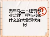 秦皇岛土木建筑专业监理工程师都做什么的就业现状如何