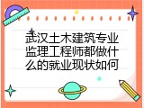 武汉土木建筑专业监理工程师都做什么的就业现状如何