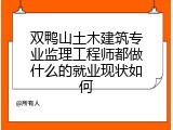 双鸭山土木建筑专业监理工程师都做什么的就业现状如何
