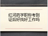 红河药学职称考到证后好找好工作吗
