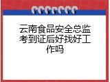 云南食品安全总监考到证后好找好工作吗