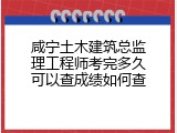 咸宁土木建筑总监理工程师考完多久可以查成绩如何查