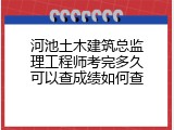 河池土木建筑总监理工程师考完多久可以查成绩如何查