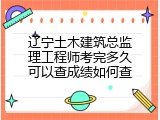 辽宁土木建筑总监理工程师考完多久可以查成绩如何查