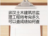 武汉土木建筑总监理工程师考完多久可以查成绩如何查