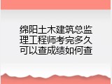 绵阳土木建筑总监理工程师考完多久可以查成绩如何查