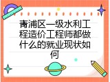 青浦区一级水利工程造价工程师都做什么的就业现状如何