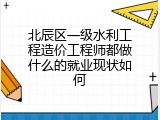 北辰区一级水利工程造价工程师都做什么的就业现状如何