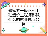 张家界一级水利工程造价工程师都做什么的就业现状如何