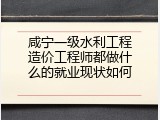 咸宁一级水利工程造价工程师都做什么的就业现状如何