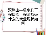 双鸭山一级水利工程造价工程师都做什么的就业现状如何