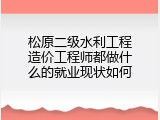 松原二级水利工程造价工程师都做什么的就业现状如何