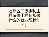 万州区二级水利工程造价工程师都做什么的就业现状如何