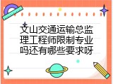 文山交通运输总监理工程师限制专业吗还有哪些要求呀