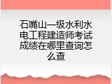 石嘴山一级水利水电工程建造师考试成绩在哪里查询怎么查