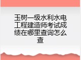 玉树一级水利水电工程建造师考试成绩在哪里查询怎么查