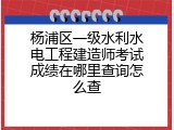 杨浦区一级水利水电工程建造师考试成绩在哪里查询怎么查