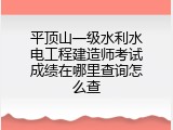 平顶山一级水利水电工程建造师考试成绩在哪里查询怎么查