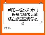 朝阳一级水利水电工程建造师考试成绩在哪里查询怎么查