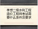 孝感二级水利工程造价工程师考试需要什么条件及要求