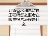 吐鲁番水利总监理工程师怎么报考在哪里报名流程是什么