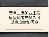 菏泽二级矿业工程建造师考完多久可以查成绩如何查
