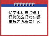 辽宁水利总监理工程师怎么报考在哪里报名流程是什么