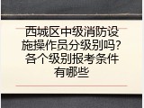 西城区中级消防设施操作员分级别吗？各个级别报考条件有哪些