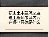 鞍山土木建筑总监理工程师考试内容有哪些具体是什么