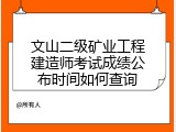 文山二级矿业工程建造师考试成绩公布时间如何查询