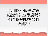 合川区中级消防设施操作员分级别吗？各个级别报考条件有哪些