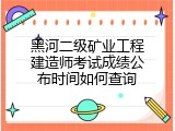 黑河二级矿业工程建造师考试成绩公布时间如何查询