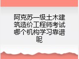 阿克苏一级土木建筑造价工程师考试哪个机构学习靠谱呢
